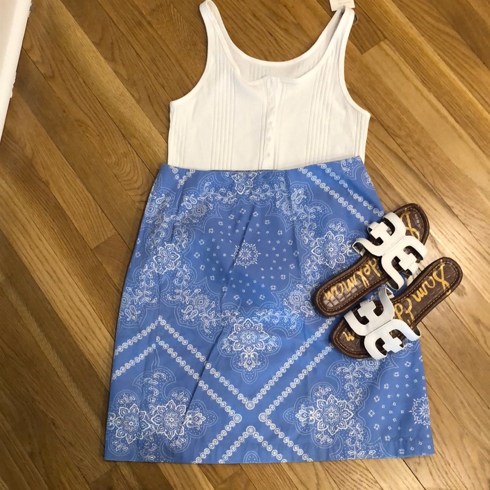 Ann Taylor Skirt